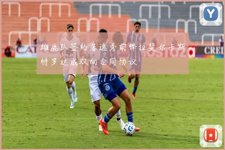 雄鹿队签约落选秀前锋拉斐尔卡斯特罗达成双向合同协议